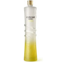 Roberto Cavalli Piña 1L