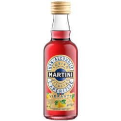 Martini Sin Alcohol Vibrante