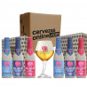 Pack combo degustación regalo colección 6 cervezas Delirium + 1 Vaso