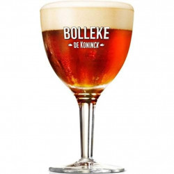 Vaso De Koninck Bolleke 25cl