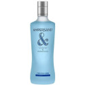 Gin Ampersand Arándanos 70cl