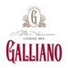 Galliano