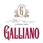 Galliano